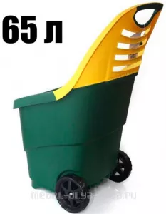  / 65 